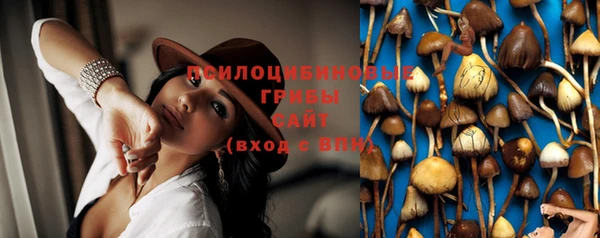 гидра Бугульма