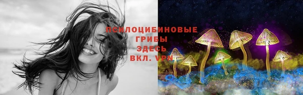 экстази Бородино