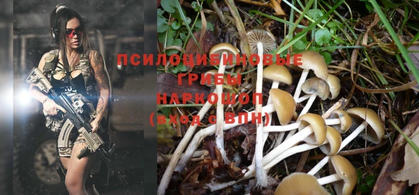 экстази Бородино