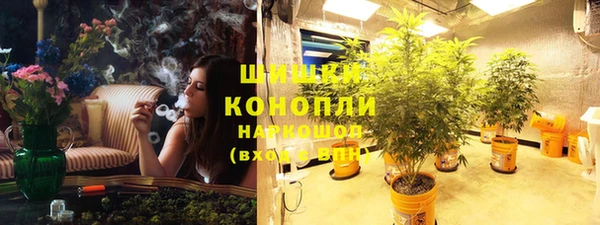 экстази Бородино