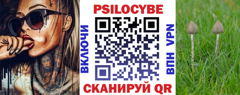 Купить закладки  Берёзовский  Галлюциногенные грибы MAGIC MUSHROOMS 